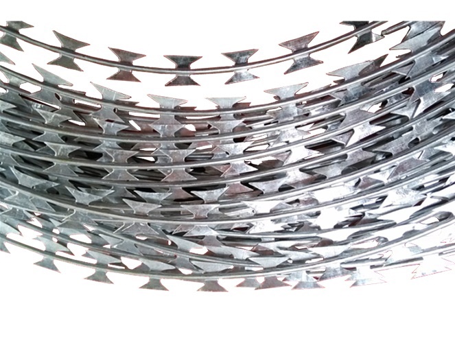 Concertina 30 cm / 3 clips / 10 Mt / Alfamat #2