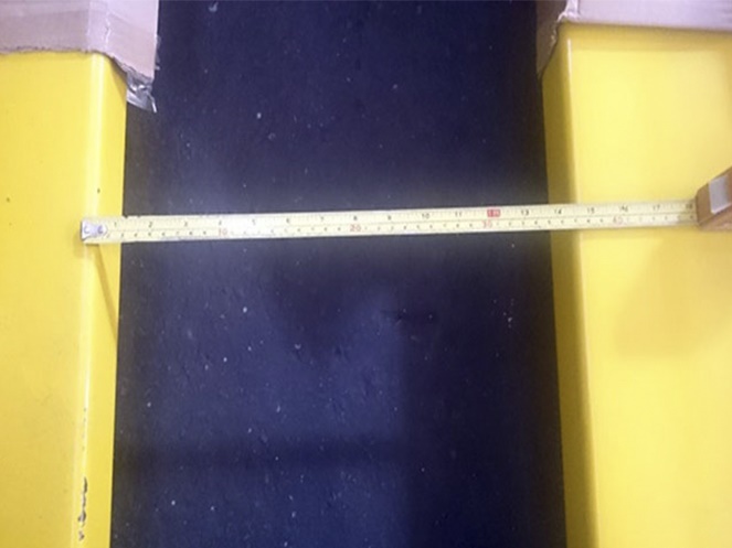 Transpaleta 3.000 Kilos / 685 x 1.220 mm / Rueda Nylon / Alfamaq / SYP-2K #6