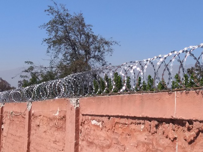 Concertina 30 cm / 3 clips / 10 Mt / Alfamat #6