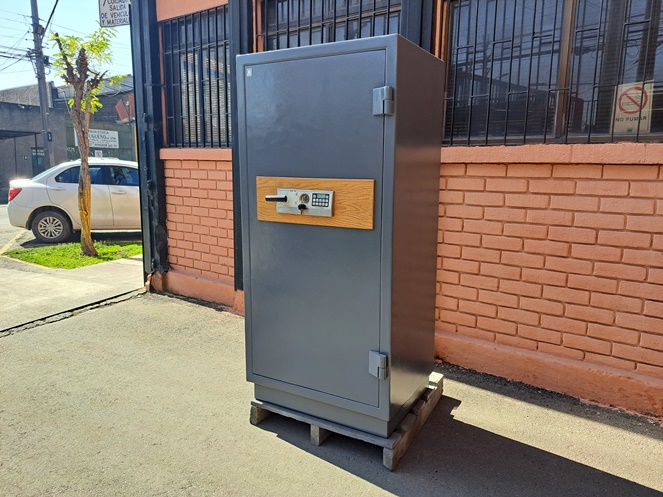 Caja Fuerte / Oister con 1 Llave / Gris / Resistente al Fuego / Usado / 297 #3