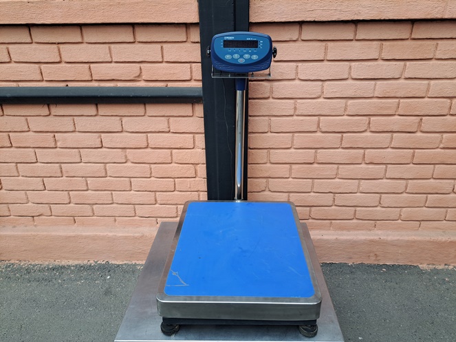 Pesa Electrónica Digital / Marca “Molinstec”  / 300 kg / Usado