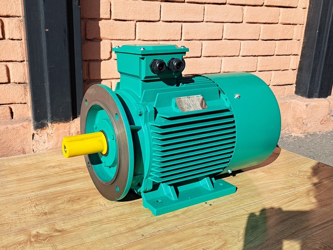Motor Eléctrico Marca “Wilo”  22 Kw / 30 Hp / 380 V. /  50 Hz. / 2.955 rpm